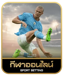 skynest369 เดิมพันกีฬา